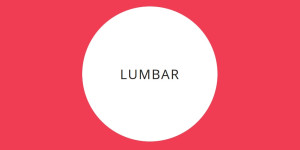 Lumbar 