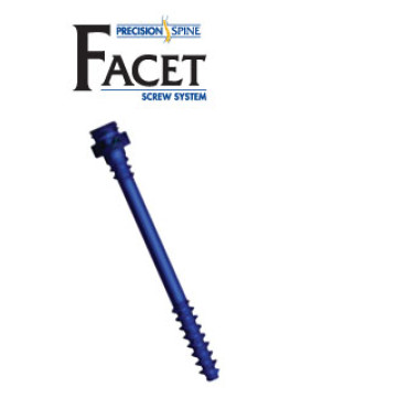 Facet Screw System