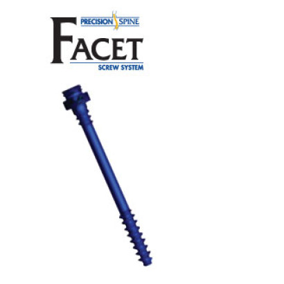 Facet Screw System