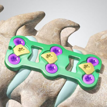 Cetra Anterior Cervical Plate (ACP) System