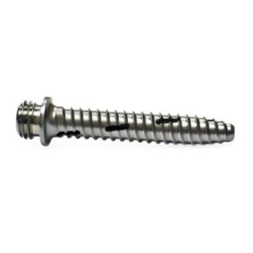 Facet Screw